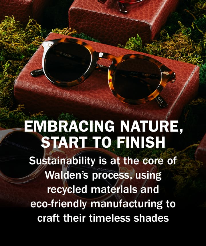 Walden Studio - Embracing Nature
