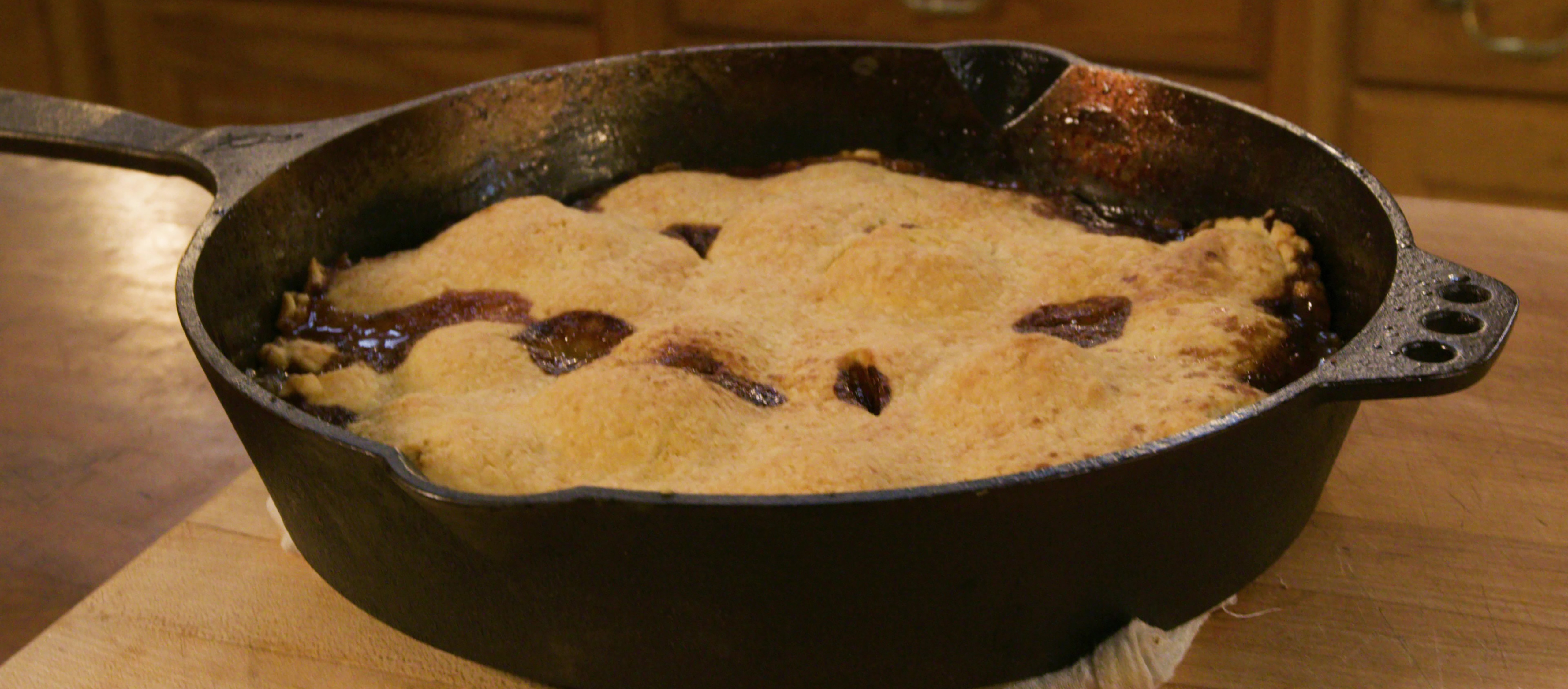 Cast Iron Skillet 8 Inch Oven Safe Tarte Tatin Skillet Frying Pan