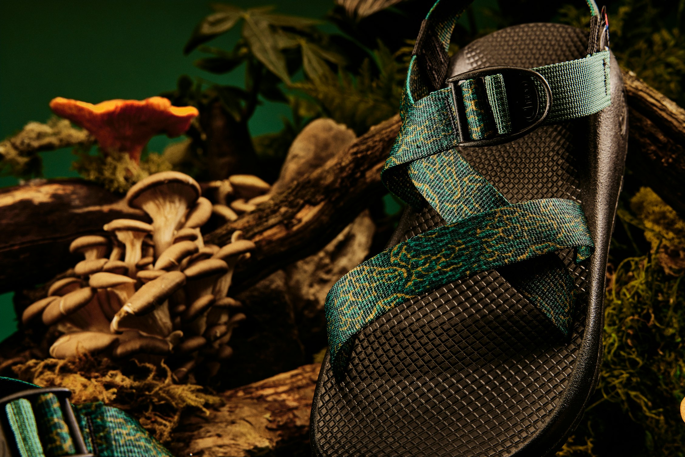 huckberry chacos