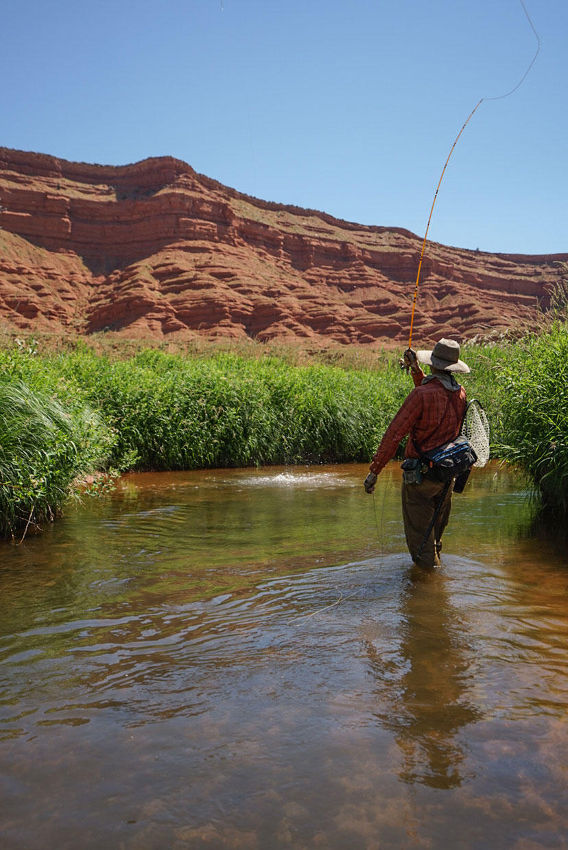 Of Interest: Trout Fishing