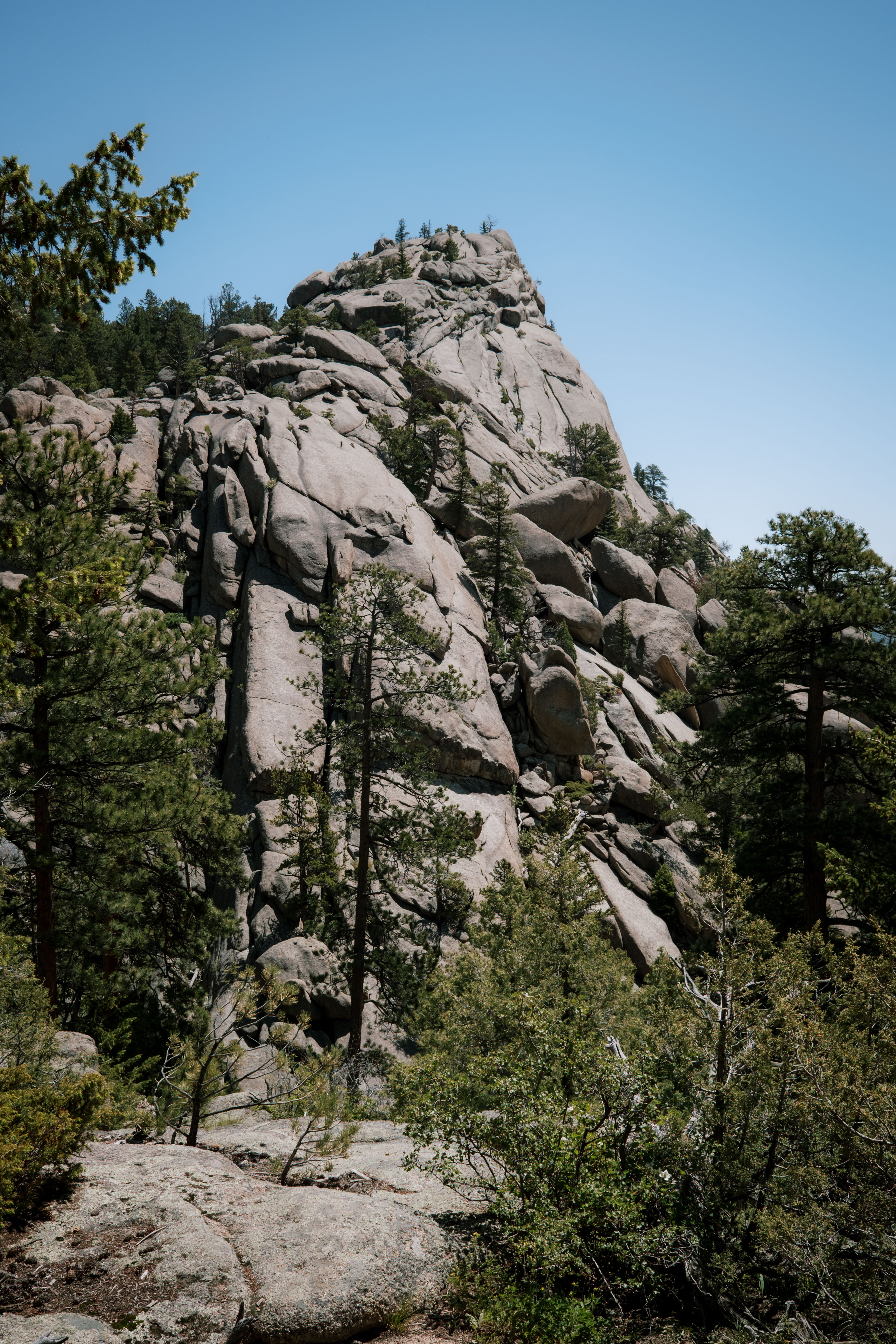 Mountain T-shirt Take Me to the Rockies Rocky Mountains for 