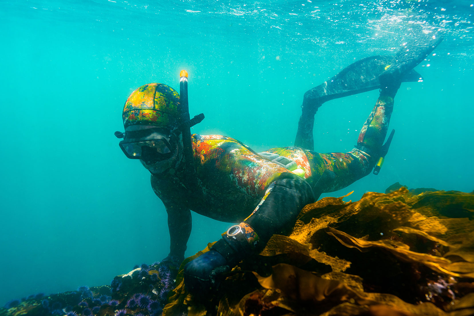 北欧スウェーデン　シープスキン zod_hero.jpg?auto=format,