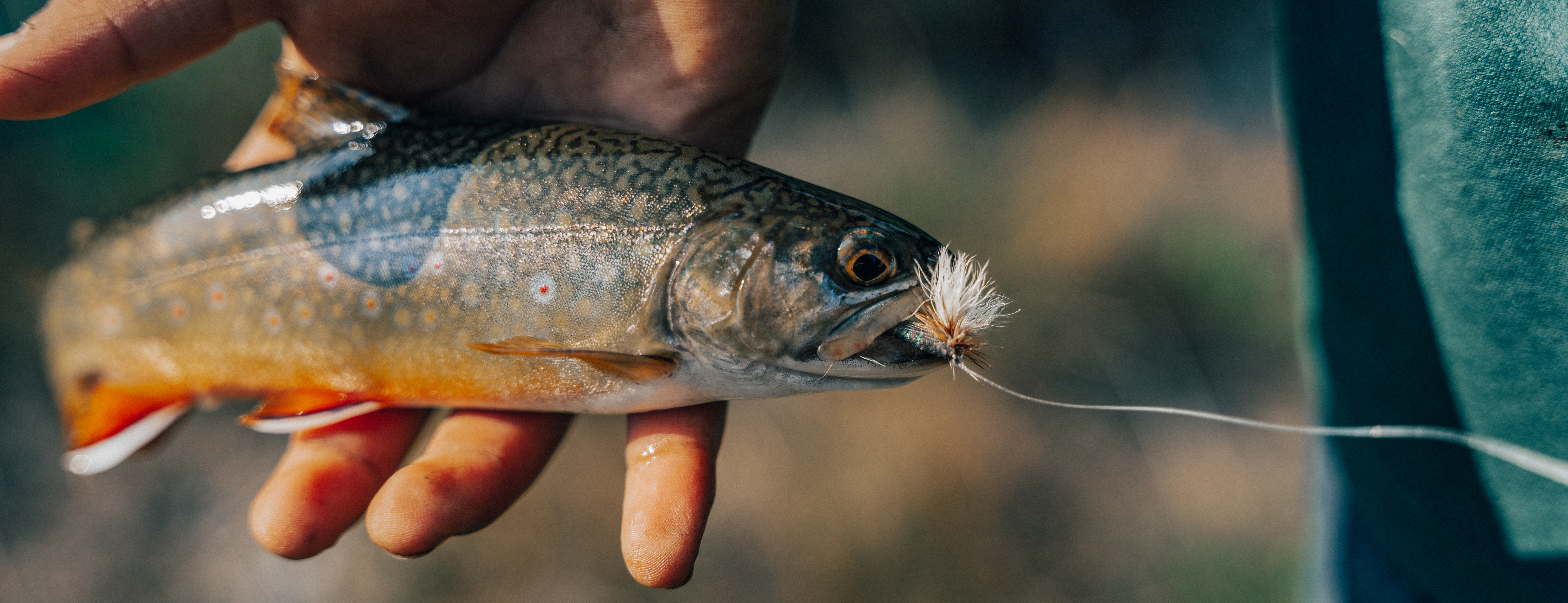 Premium Vector  The little boy is fishing in the river and succeed to get  small fish with the rod