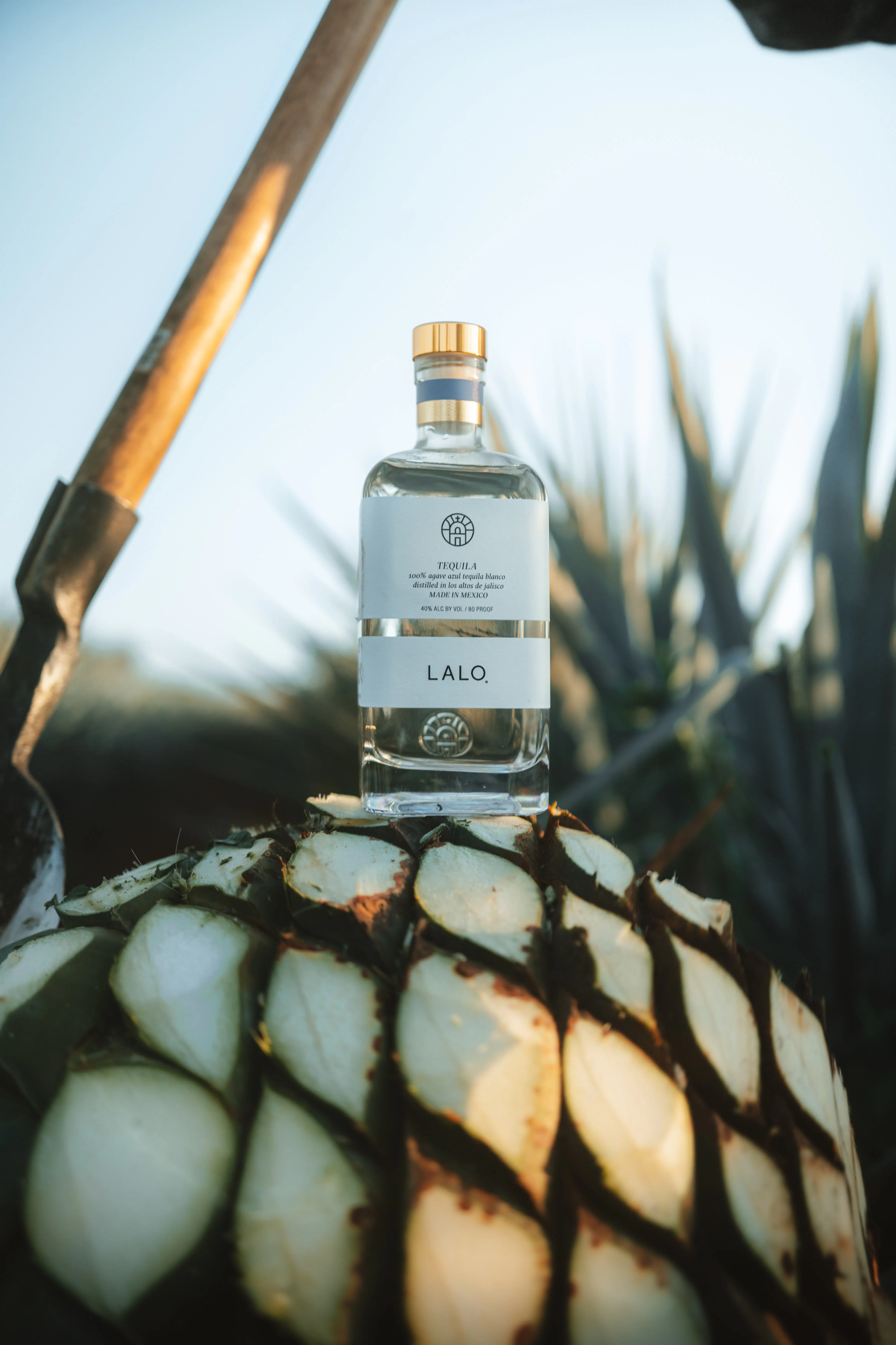 Behind the Brand LALO Tequila Huckberry