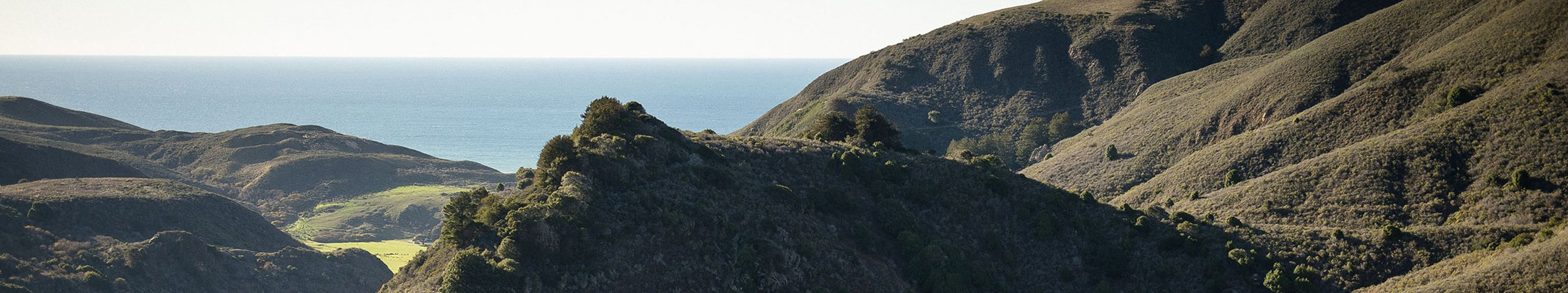 Shop Iron and Resin Huckberry