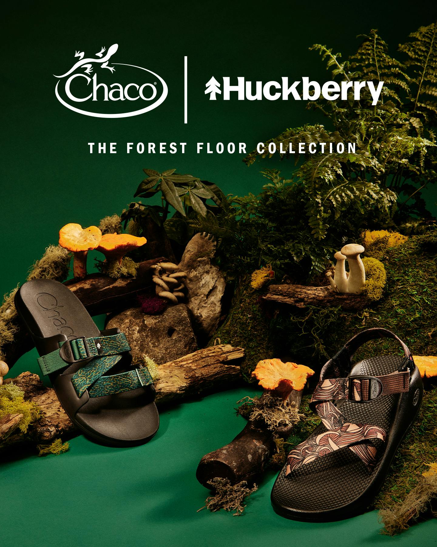 Chaco x Huckberry The Forest Floor Collection