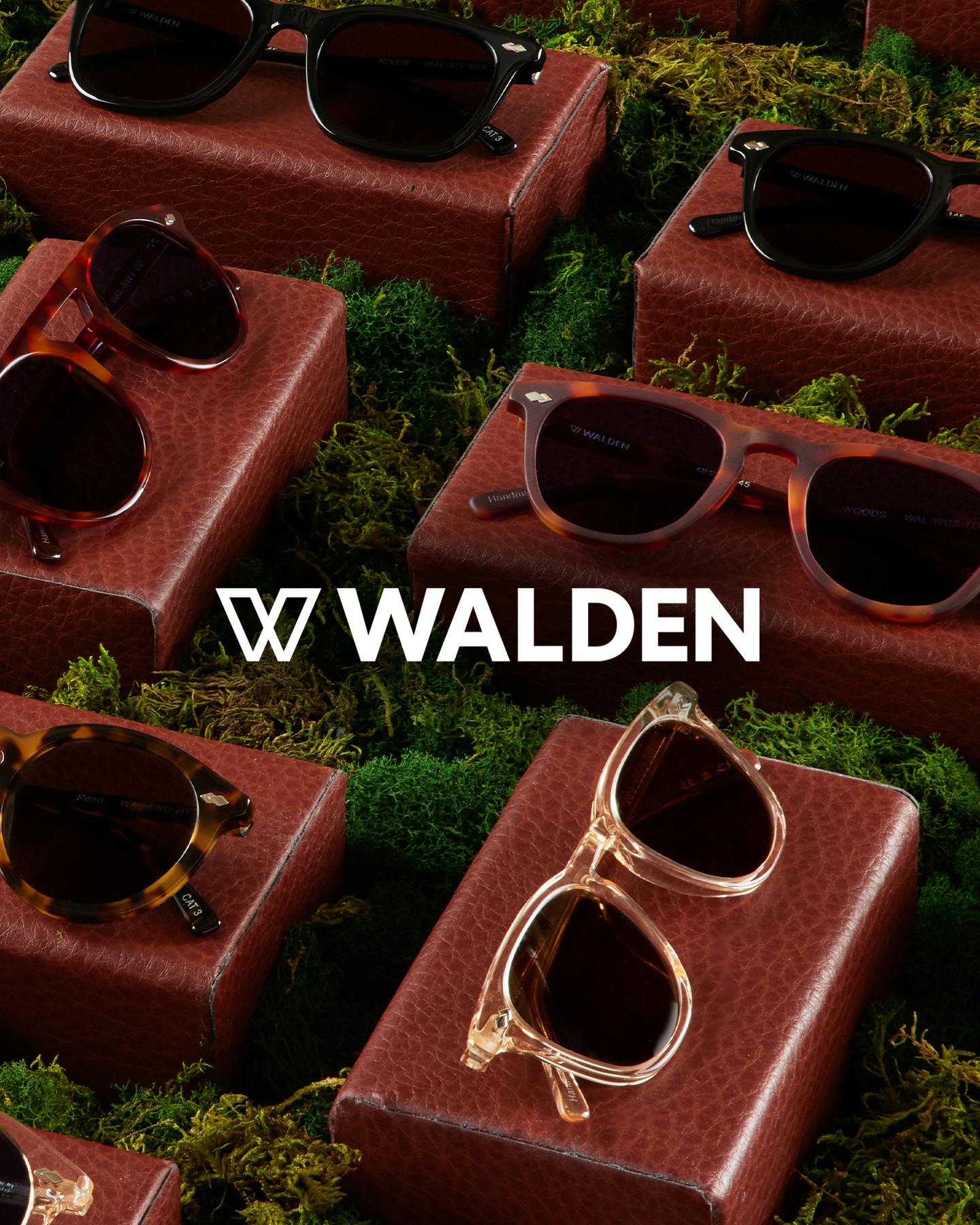 Walden sunglasses laying in green moss texture and leather cases
