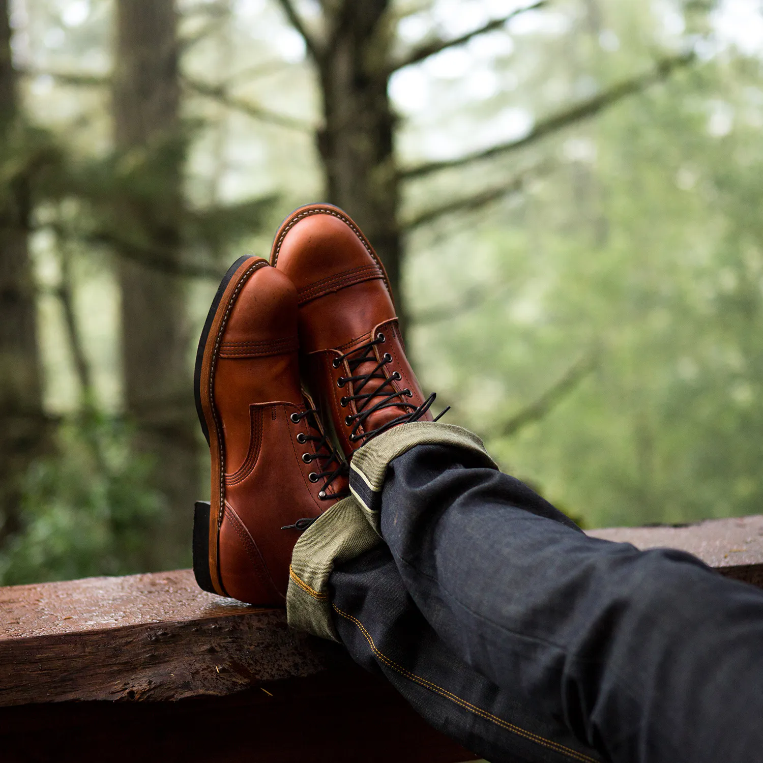 Thorogood Dodgeville (Leather Lined) - Cognac Cavilier | Work 