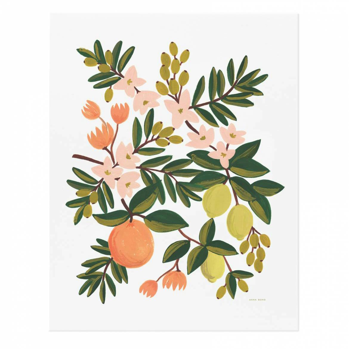 Rifle Paper Co. Citrus Floral Print