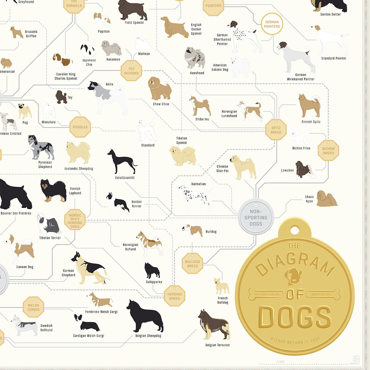 canine family tree chart