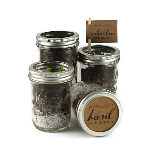 Makerskit Diy Mason Herb Garden Gift Set Kit Huckberry Bgpkflauc9 Makerskit Diy Mason Herb Garden Gift Set Kit 0 Original