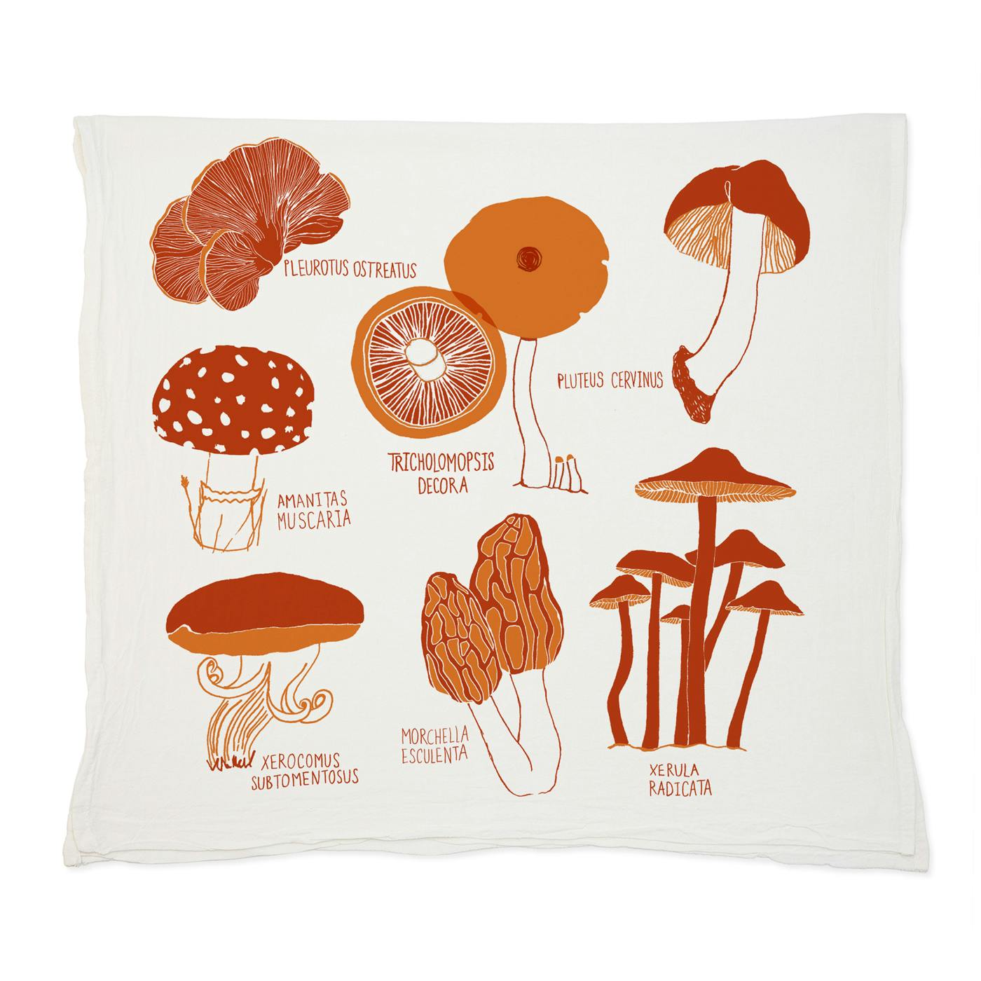 Antimicrobial Towel (Check Mushroom), All-Clad