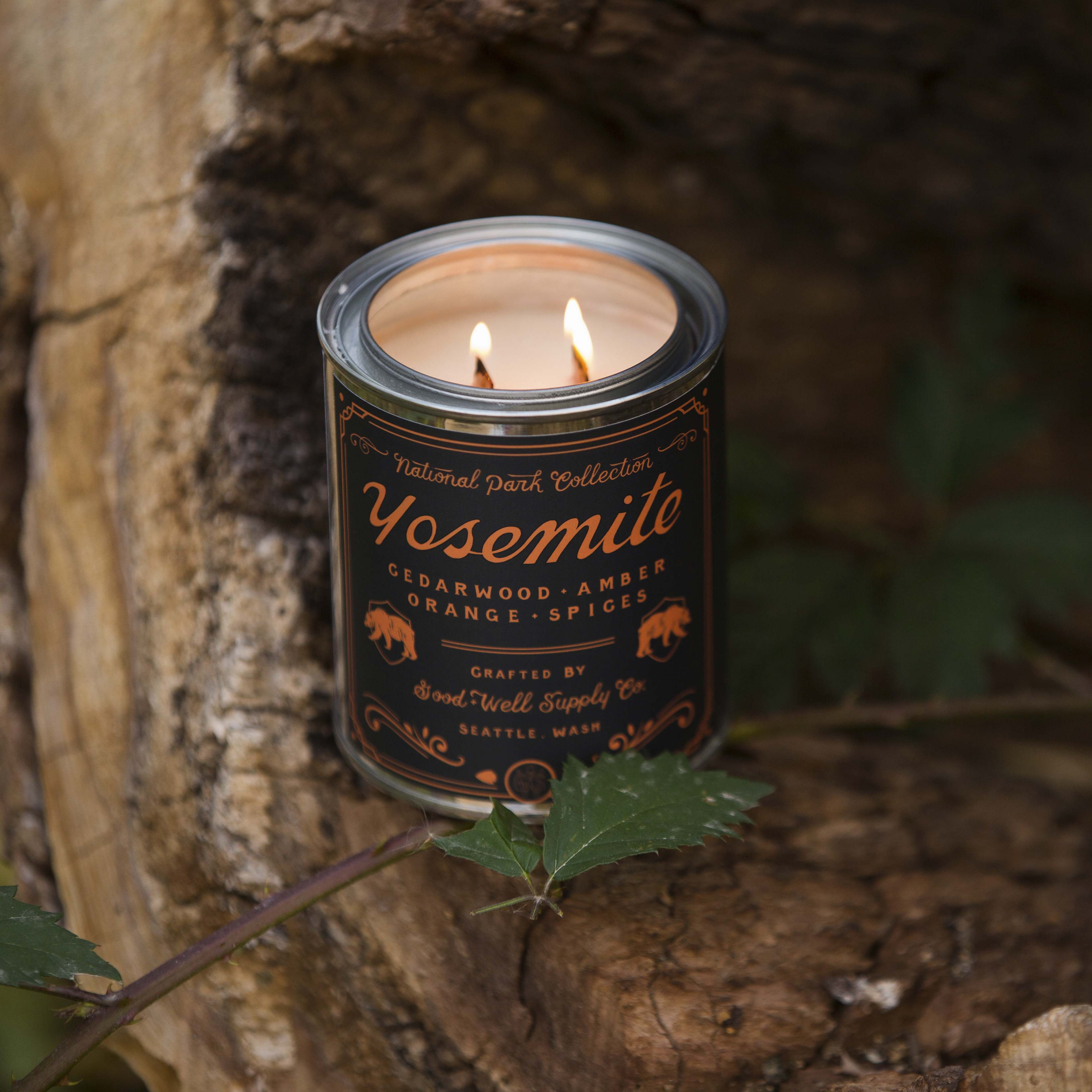 Good + Well Supply Co. Yosemite National Park Candle Navy/Orange