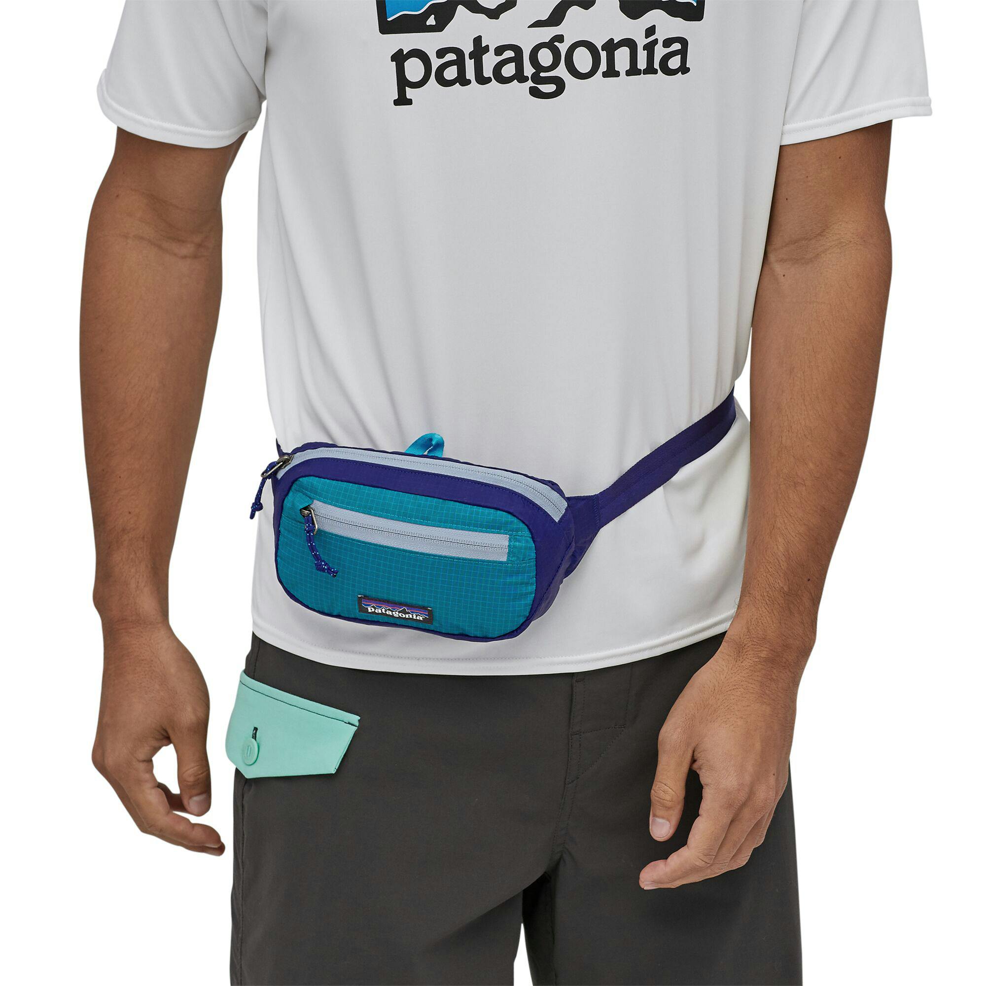 Patagonia Ultralight Black Hole Hip Pack - 1L
