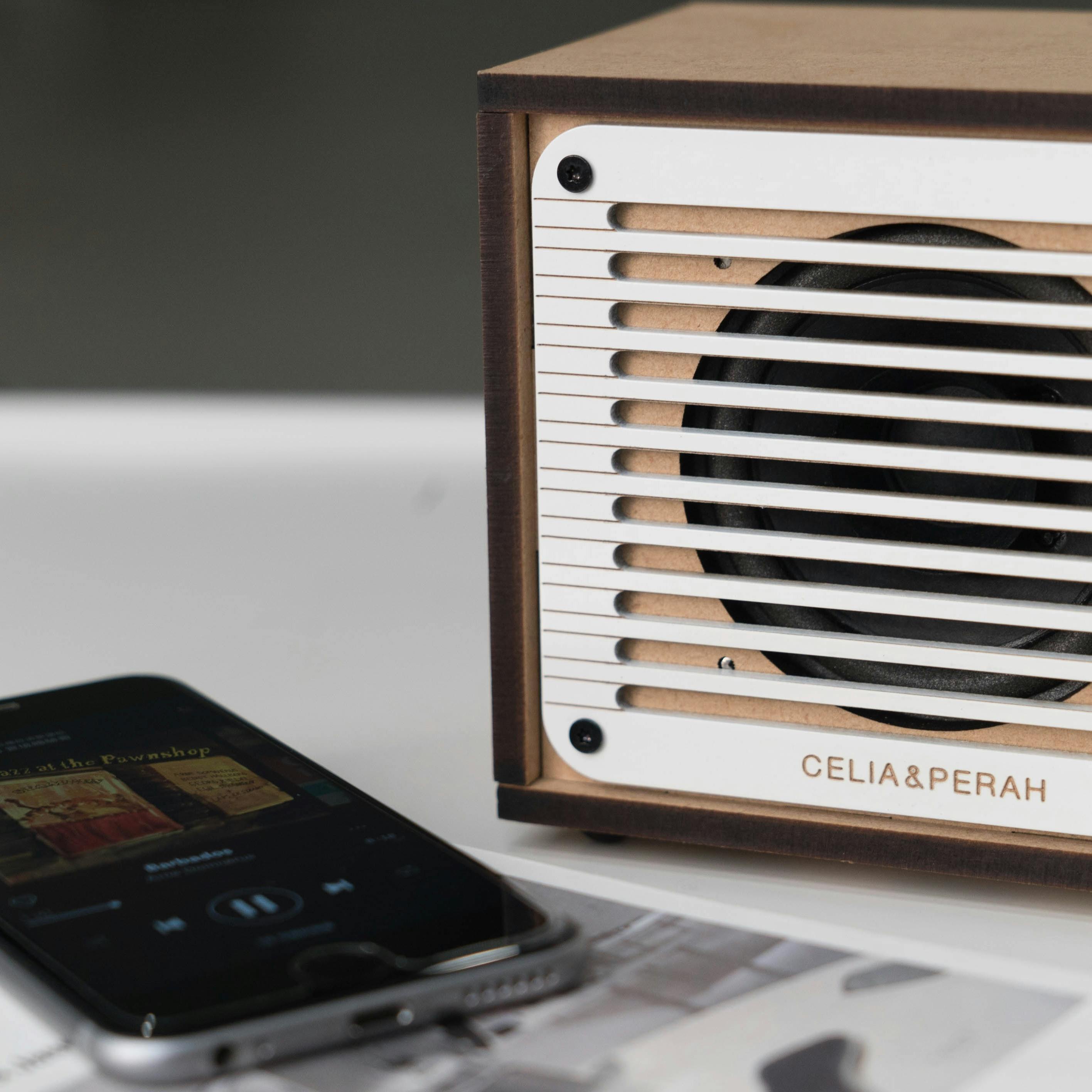 Celia & Perah DIY Bluetooth Classic Radio