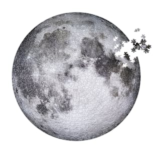 The Moon Puzzle