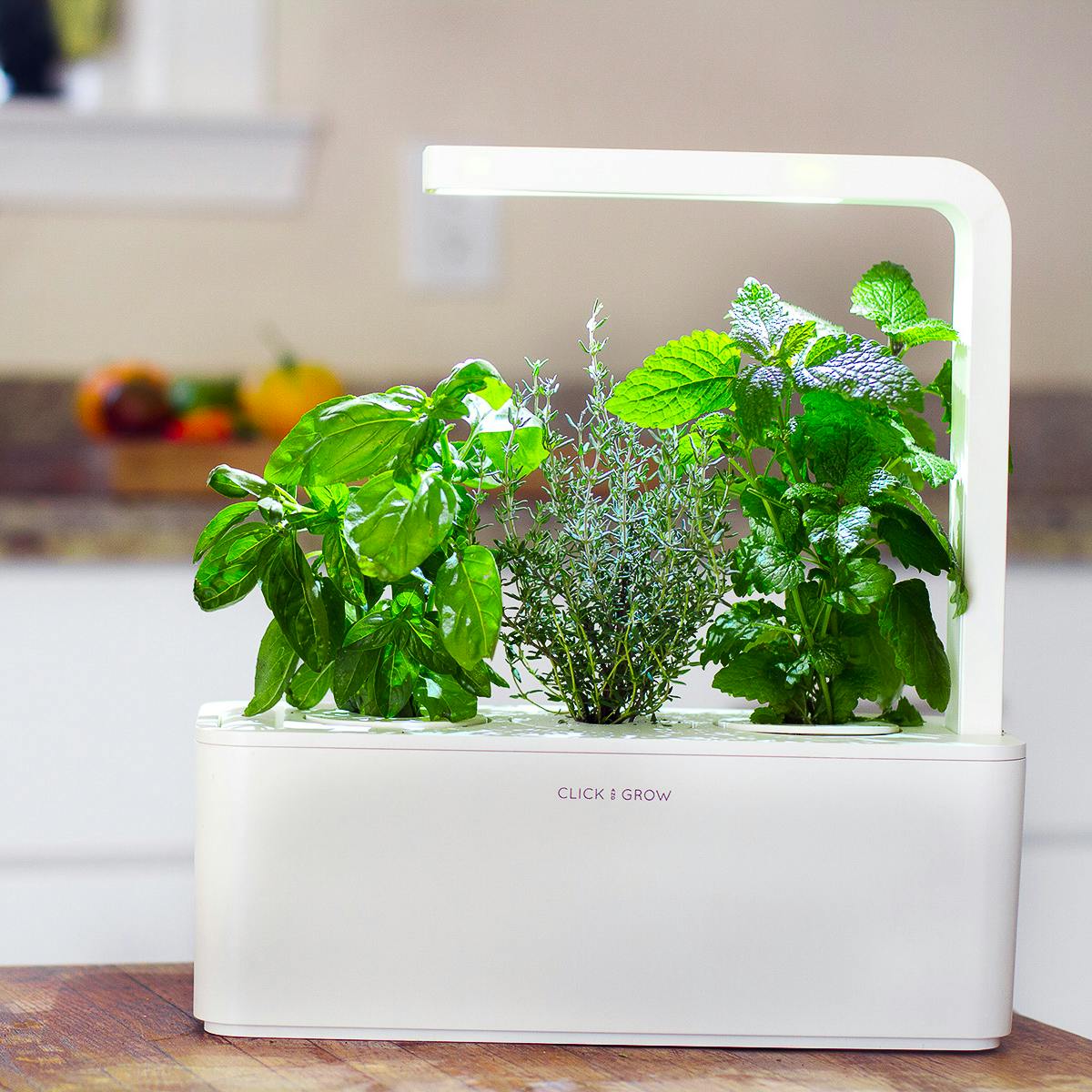 Click & Grow Mini Smart Garden
