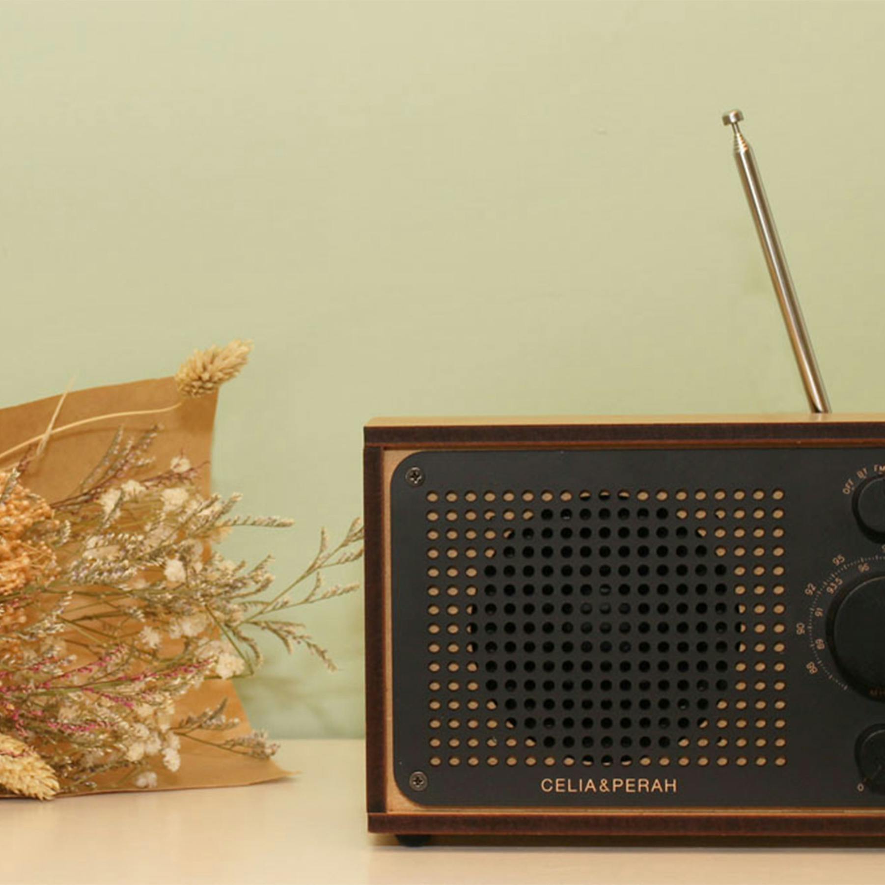 Celia & Perah DIY Bluetooth Classic Radio