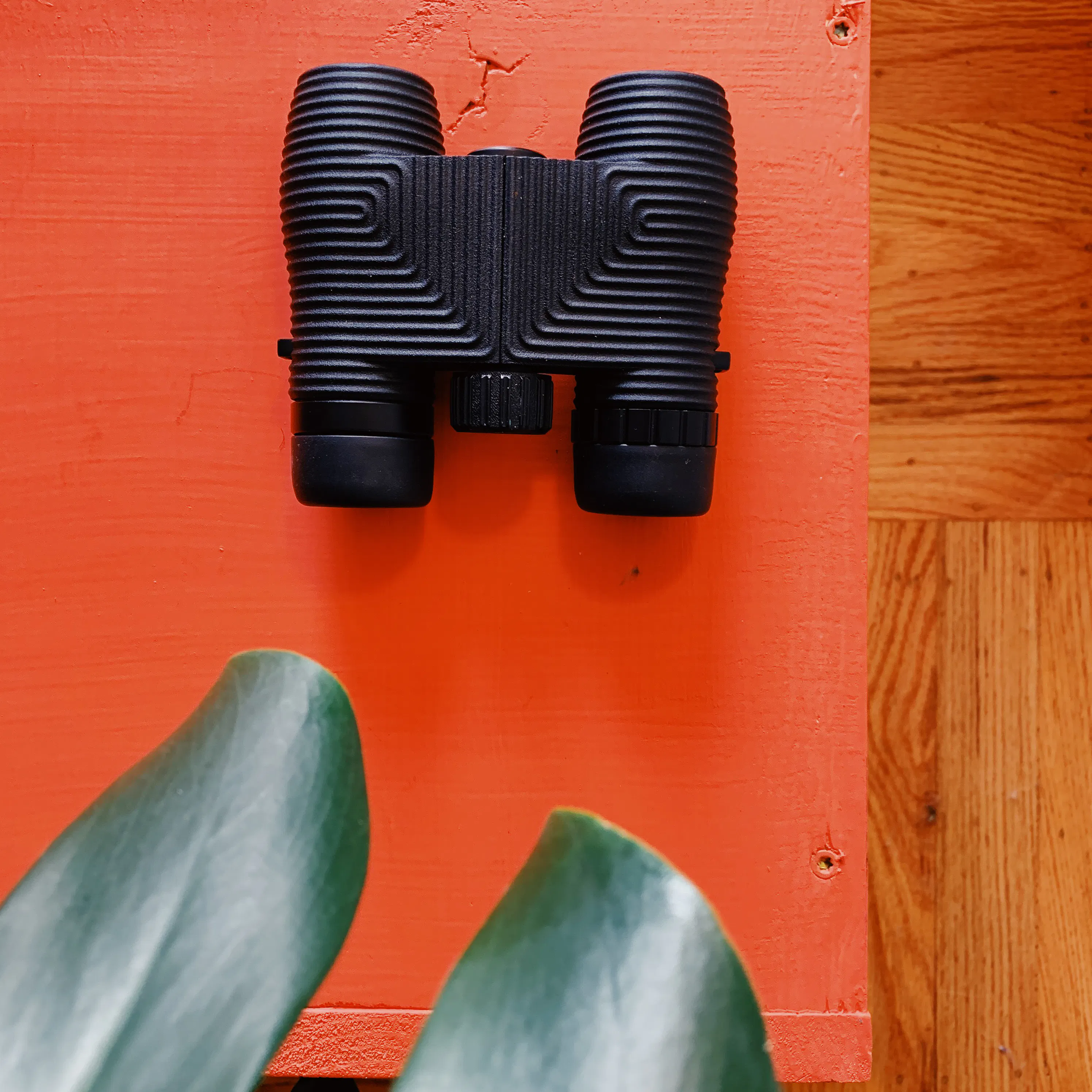 Nocs Provisions Standard Issue 8x25 Waterproof Binoculars - Squid
