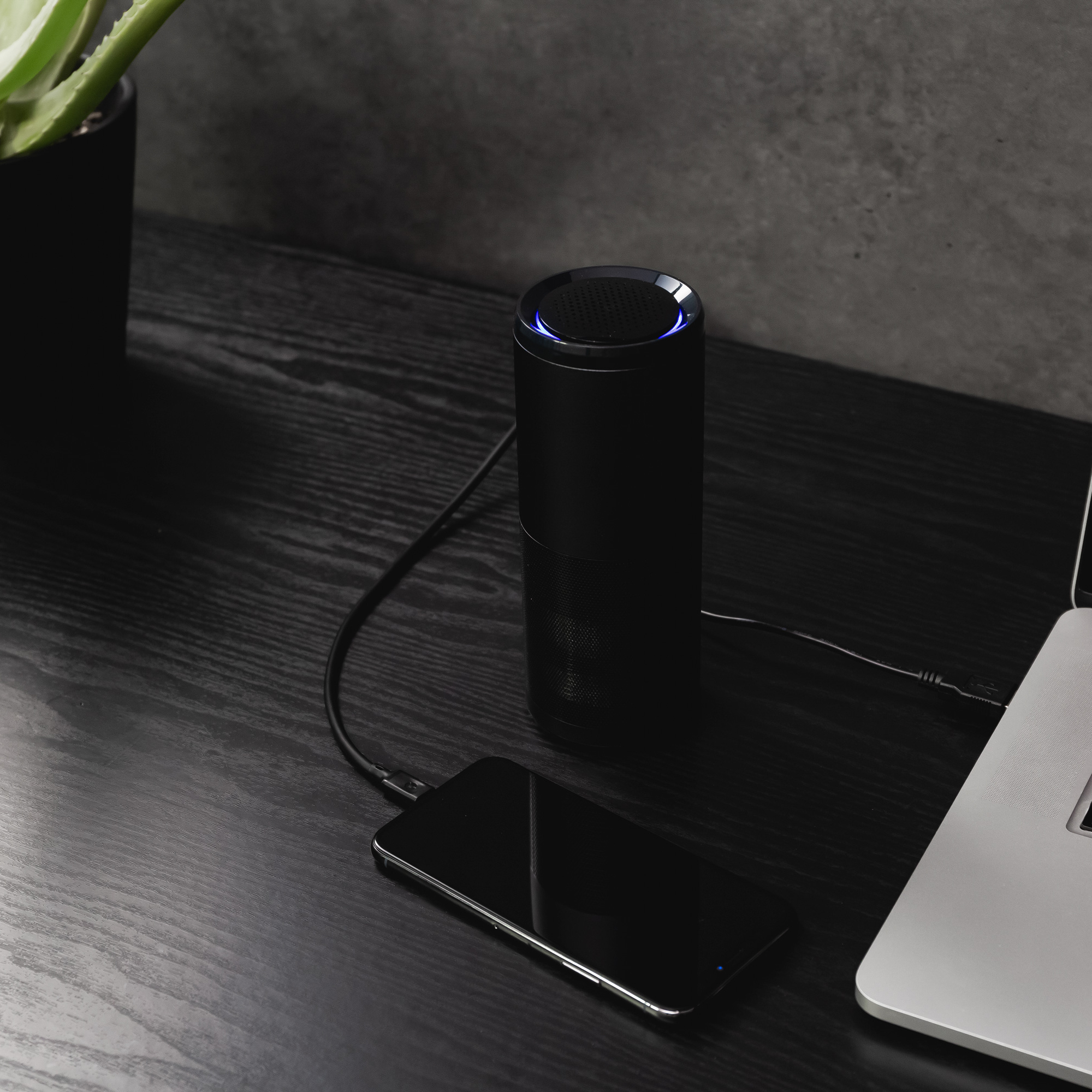 CleanLight Air Purifier