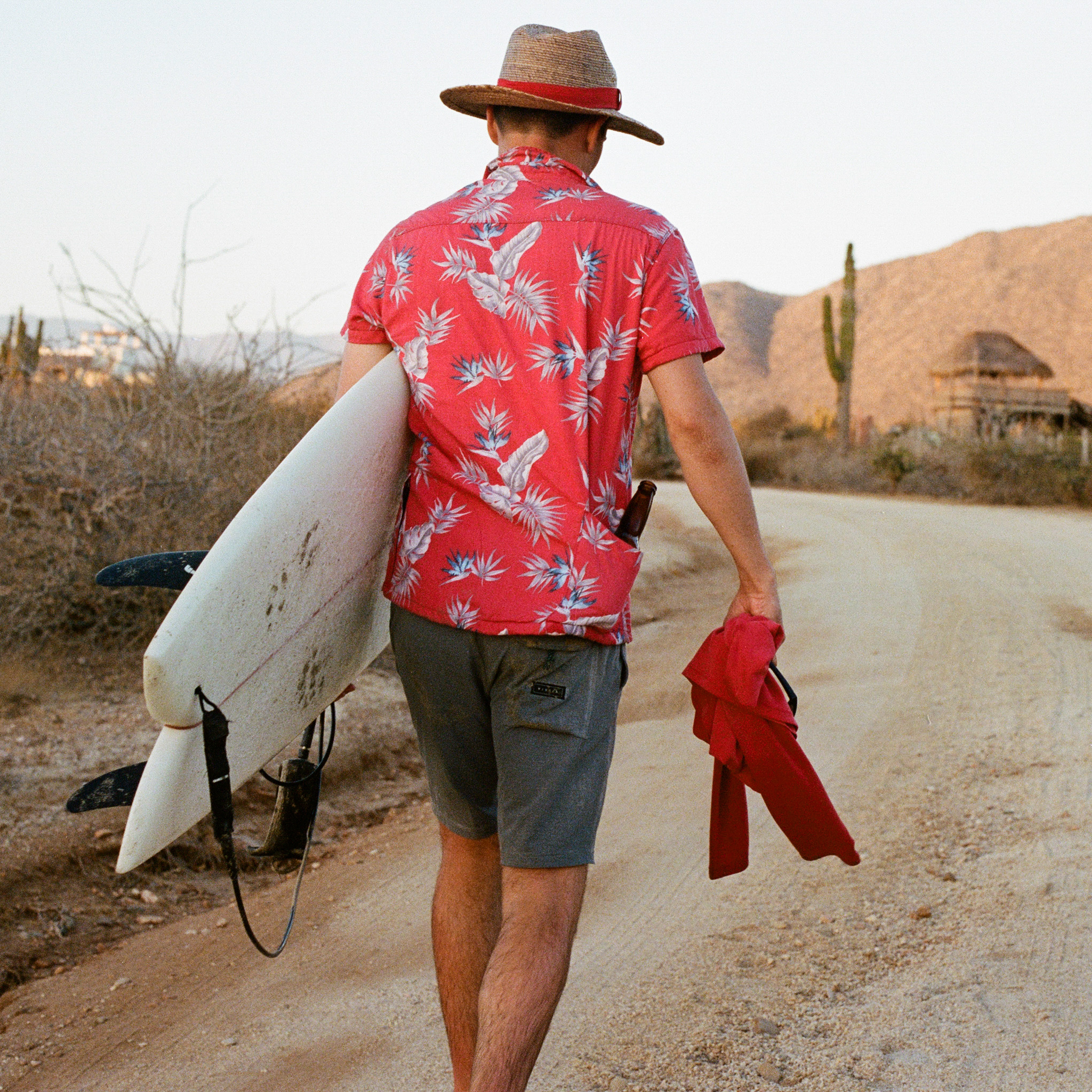 California Cowboy The High Water Bird of Paradise Sunset Red