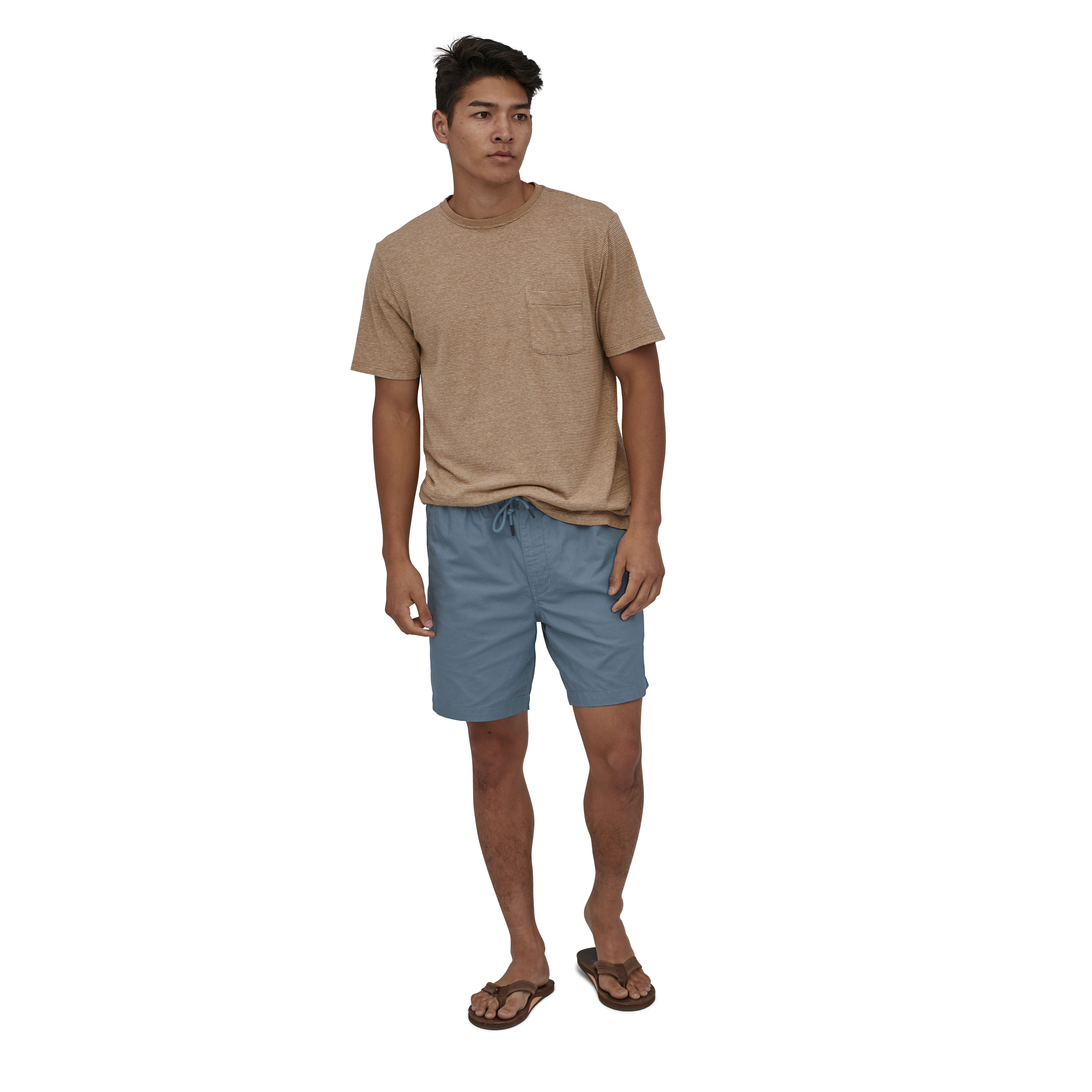 Patagonia Lightweight AllWear Hemp Volley Shorts 6" Pigeon Blue