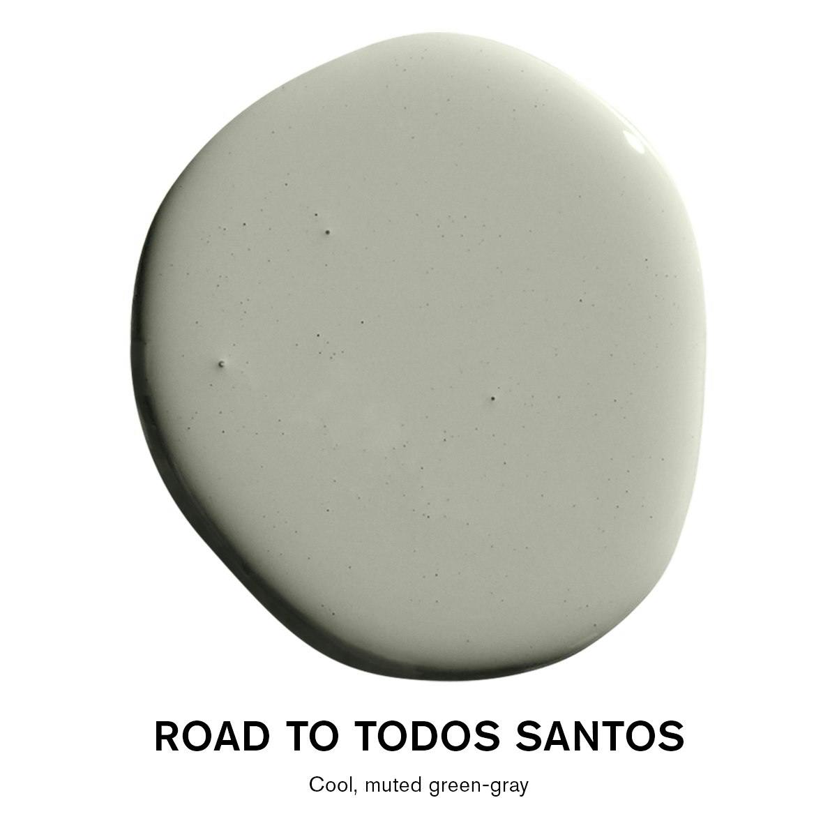 Backdrop Road to Todos Santos