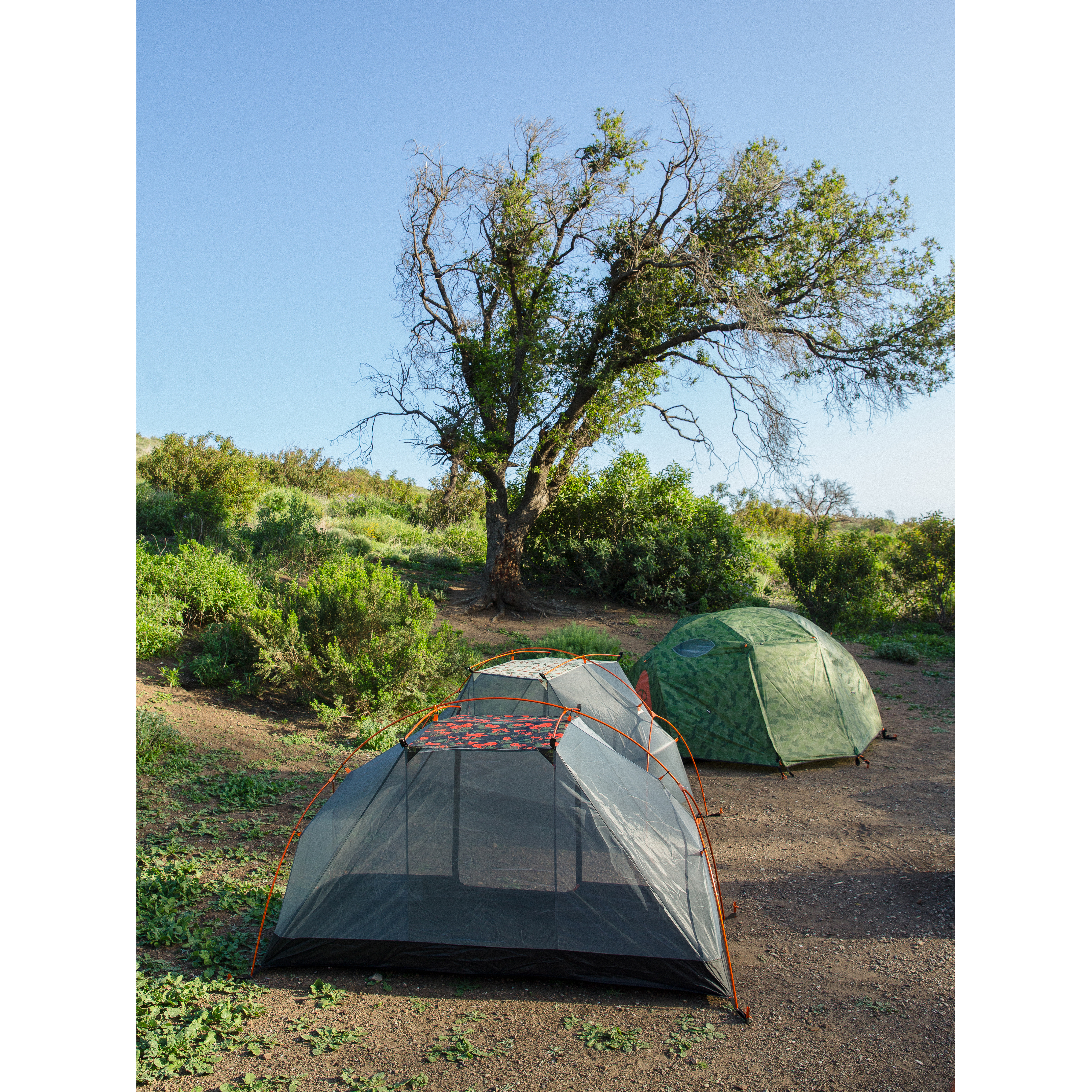 テント・タープ POLeR 2 PERSON TENT (FURRY CAMO) Poler 2-Person Tent - Furry Camo - Walmart.com