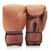 Pro Leather Boxing Gloves (Strap Up)