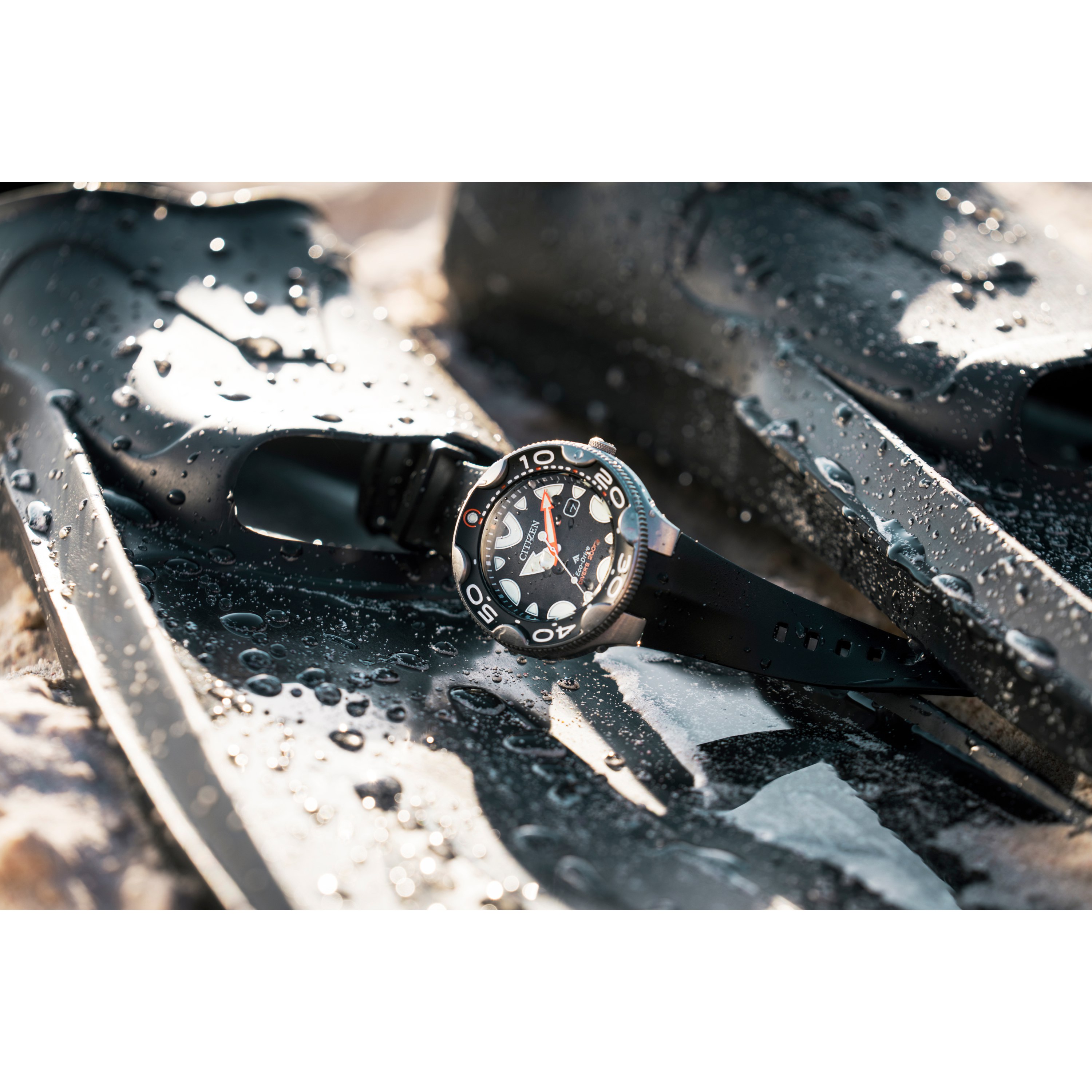 Citizen Promaster Dive Watch - Black | undefined | Huckberry
