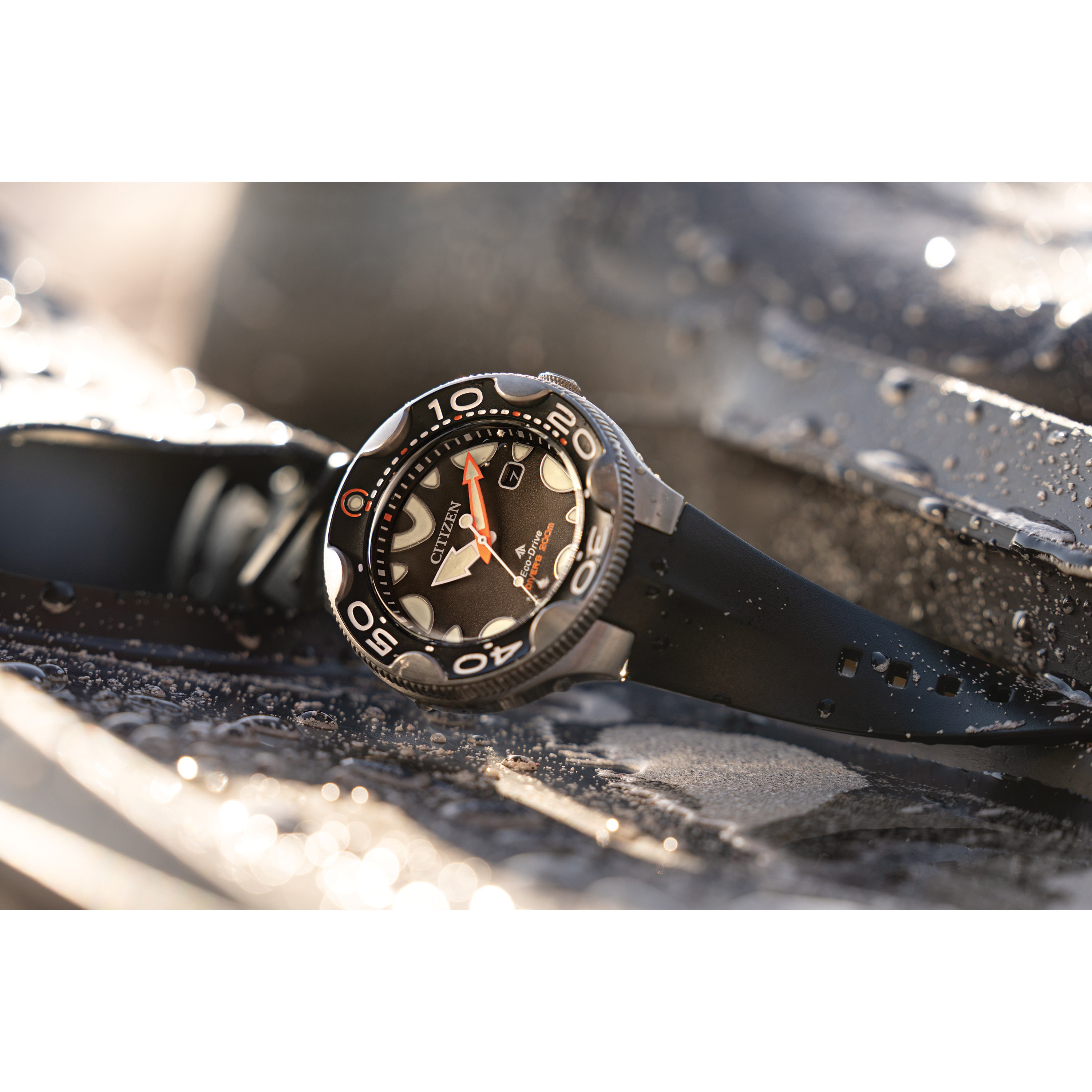 Citizen ダイバーズウォッチ ブラック Introducing The Citizen Promaster Diver Fujitsubo Now In