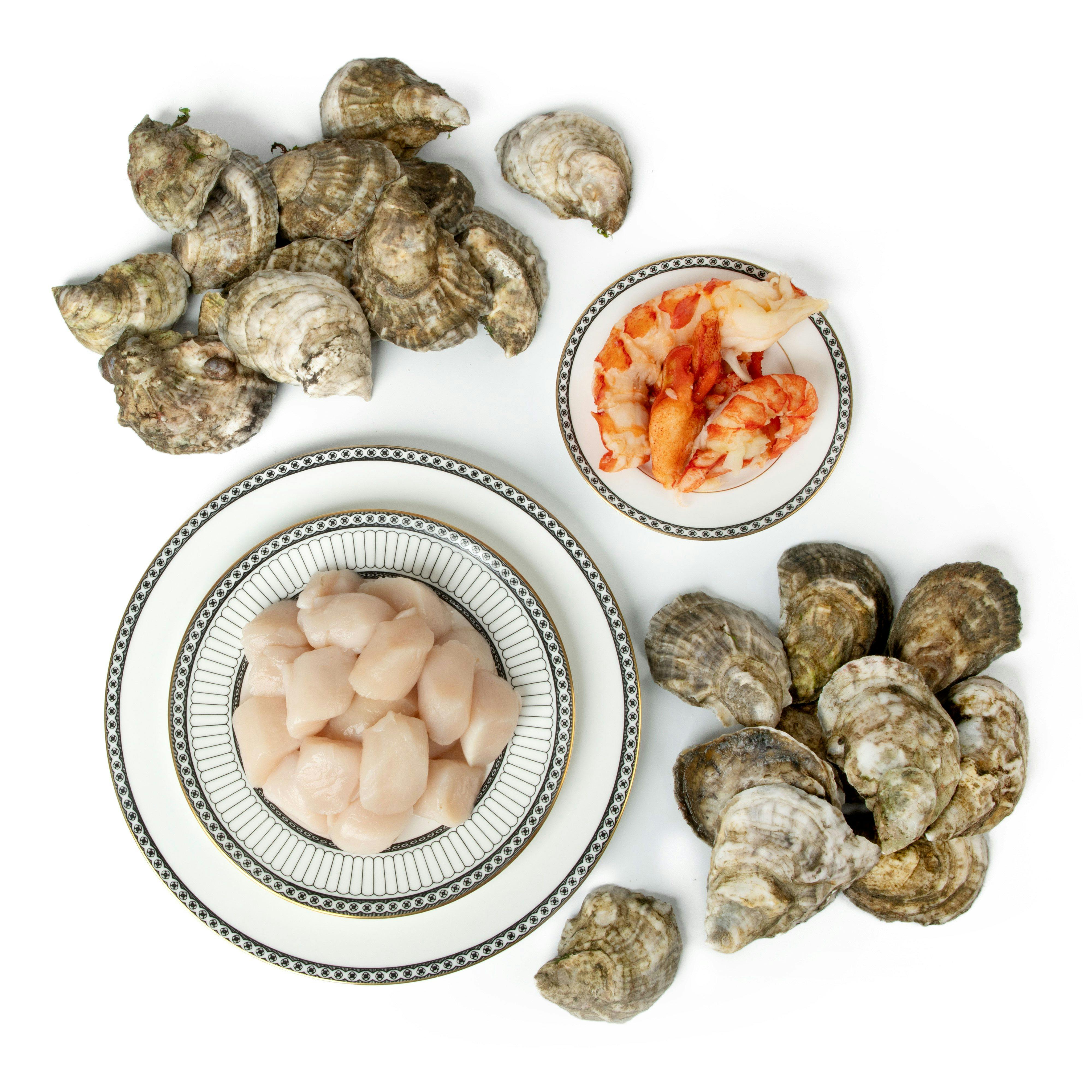 Boston Sea Party Oyster Package - Small