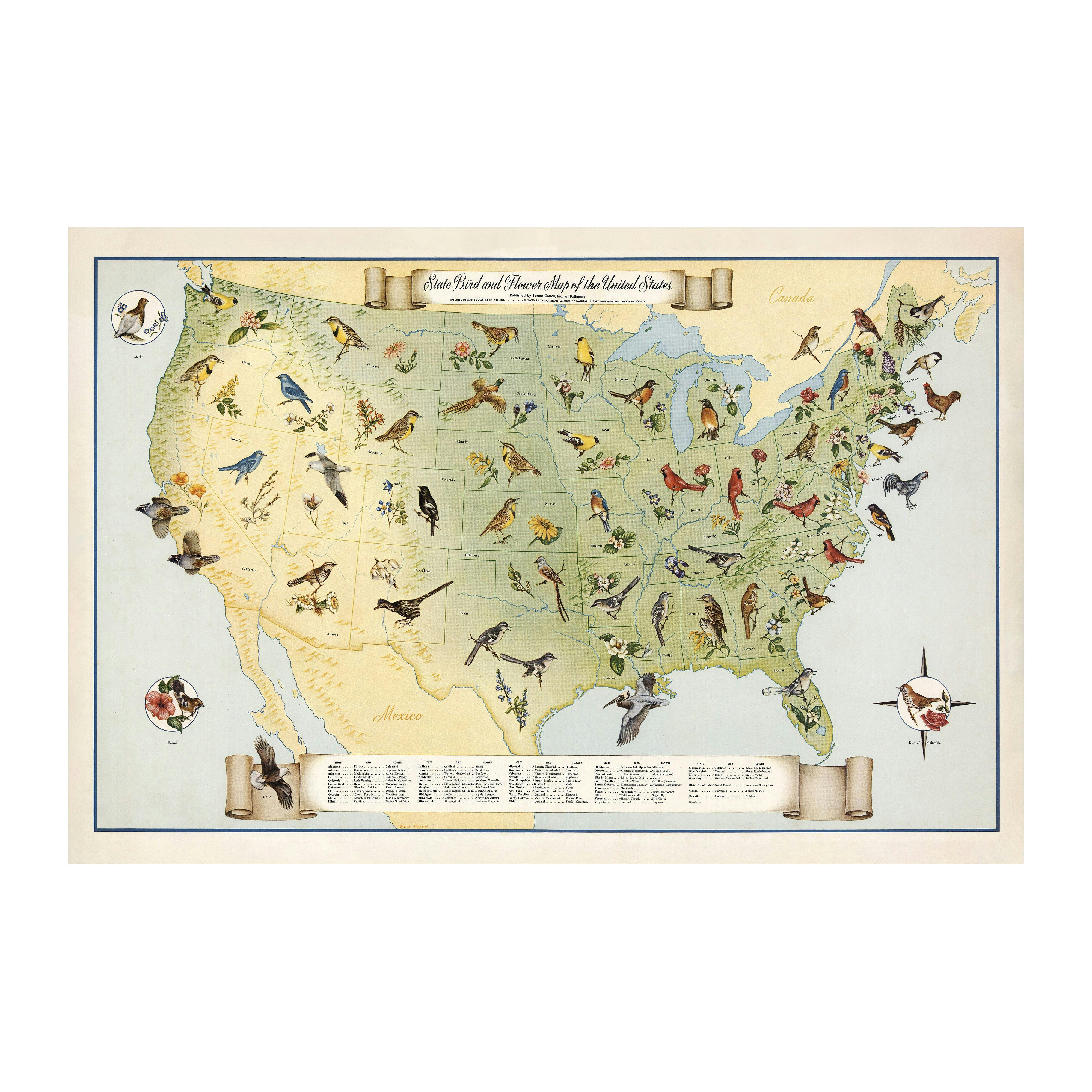 State Birds and Flowers of USA Map 1965