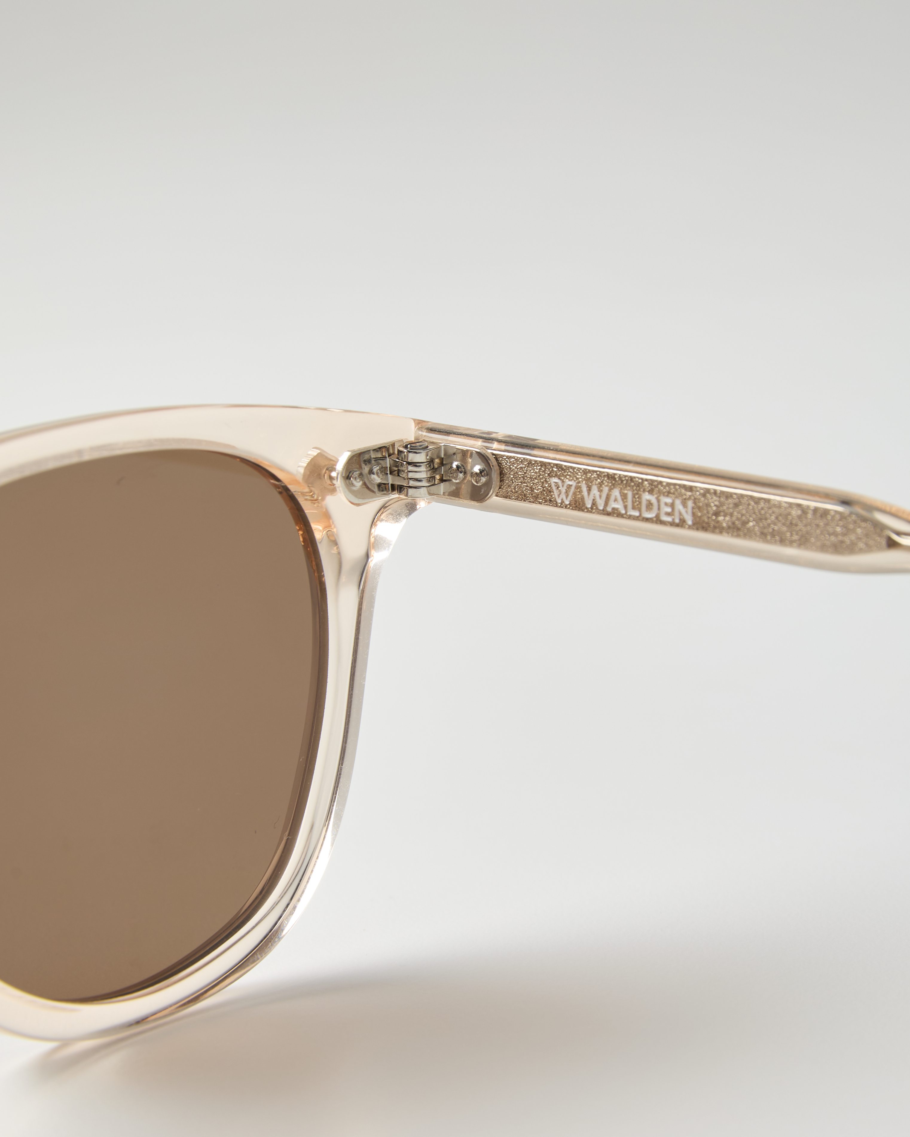 【NEW限定品】 Eyewear Walden Woods Lifestyle | Champagne - Sunglasses 小物