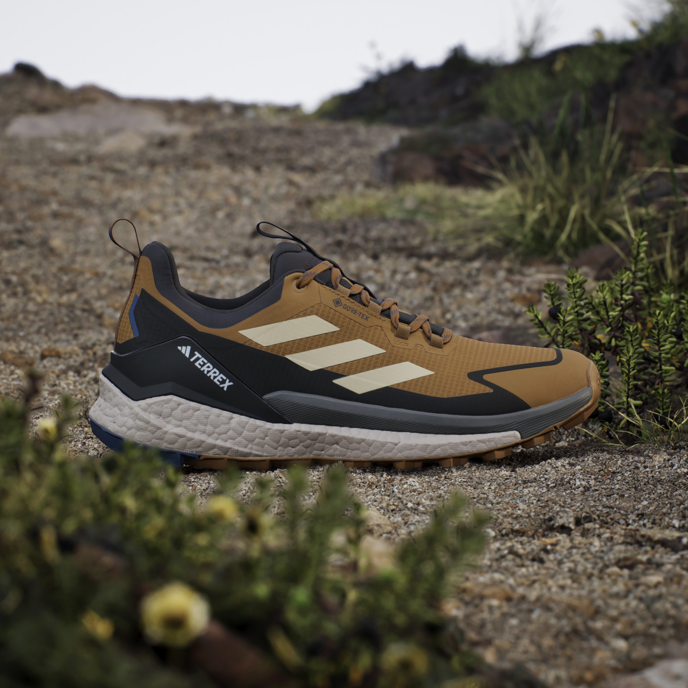 ターキー adidas Terrex Free Hiker 2 Low GTX Sneaker - bronze strata