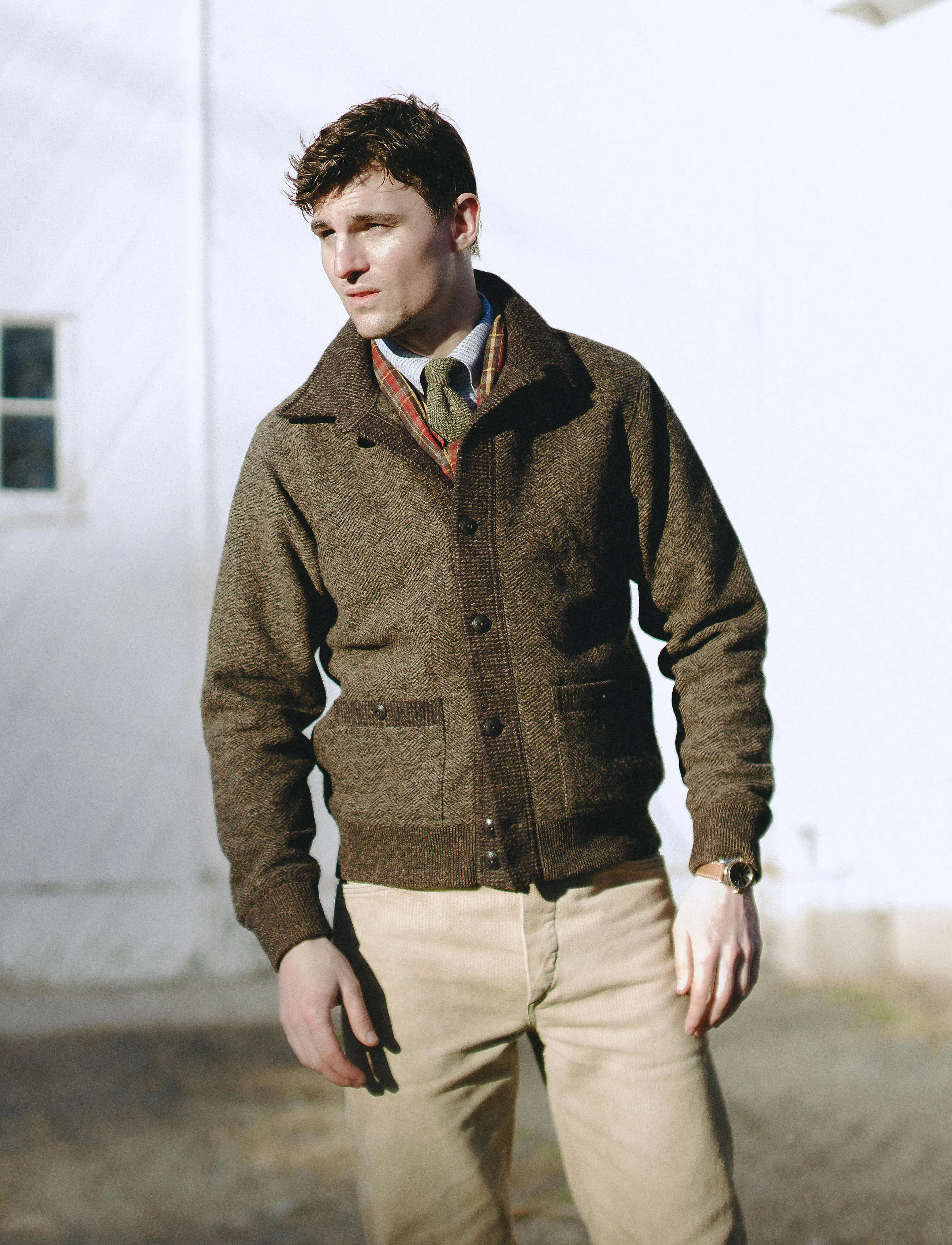 RRL Angus Jacquard Cardigan Sweater Jacket - Brown/Multi | Trucker