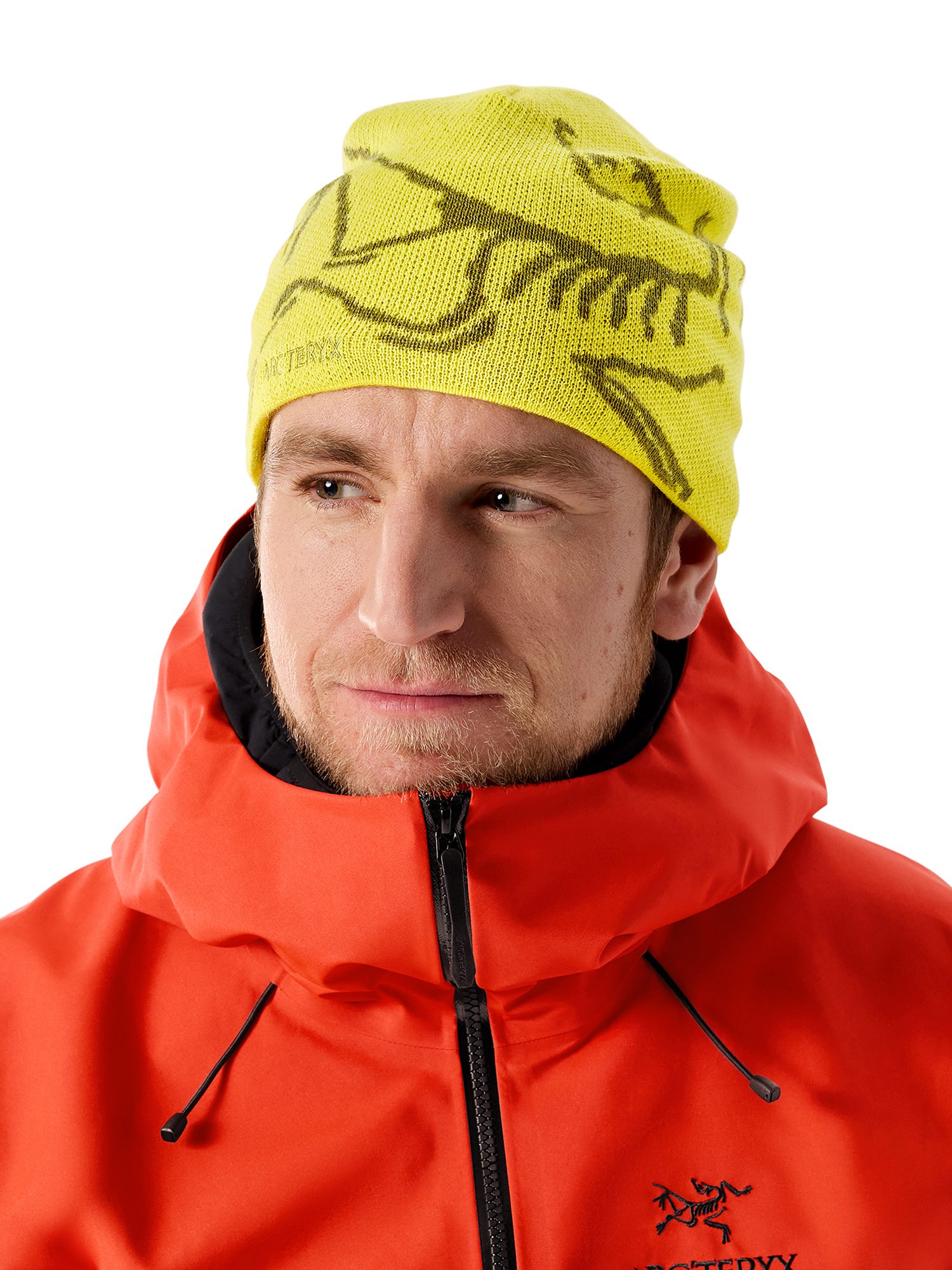 Arc'teryx Bird Head Toque Beanie - Euphoria/Olive Moss | Beanies