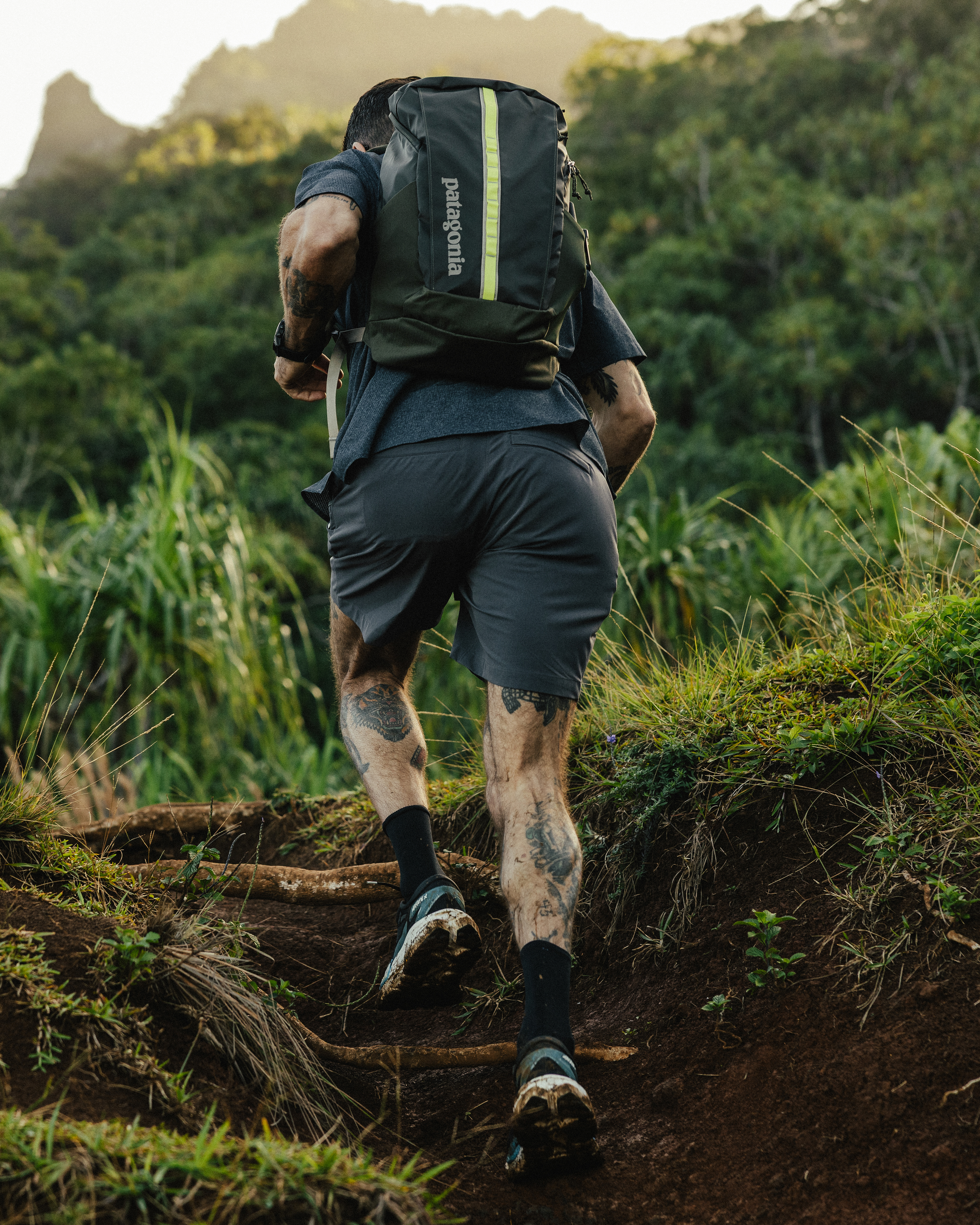 Patagonia Black Hole Backpack - 25L - Pine Needle Green