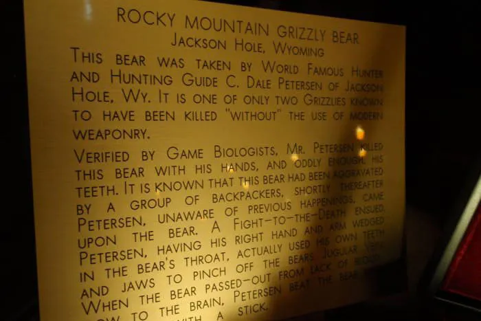 Man Kills Grizzly With Hands and Teeth