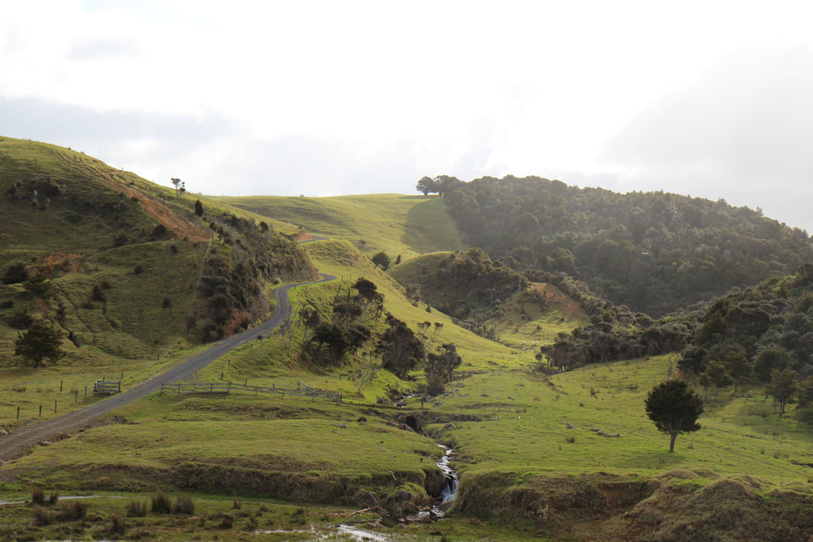 Hero header new zealand