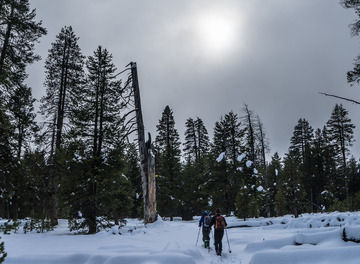 Tile kyle frost header
