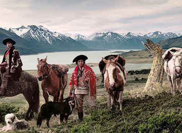 Tile desktop gauchos header