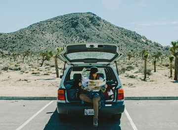 Tile 2340 header joshua tree