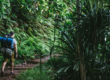 Tile hawaii hike header