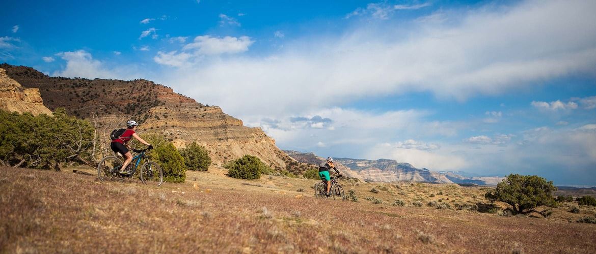Hero fruita header