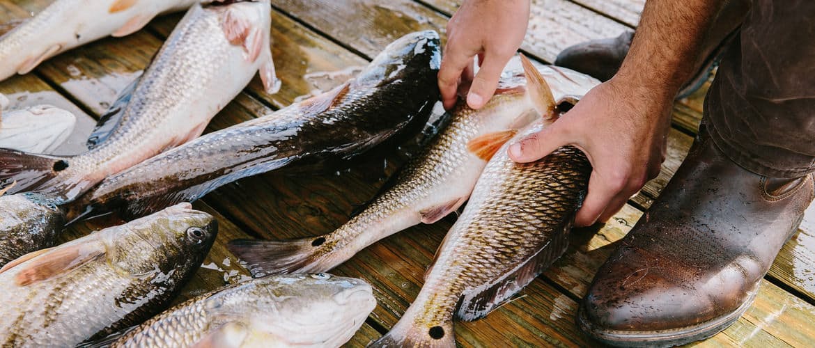Hero huckberry matt moore louisiana redfish header.jpg?ixlib=rails 2.1