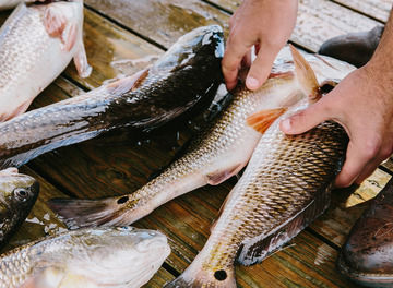 Tile huckberry matt moore louisiana redfish header