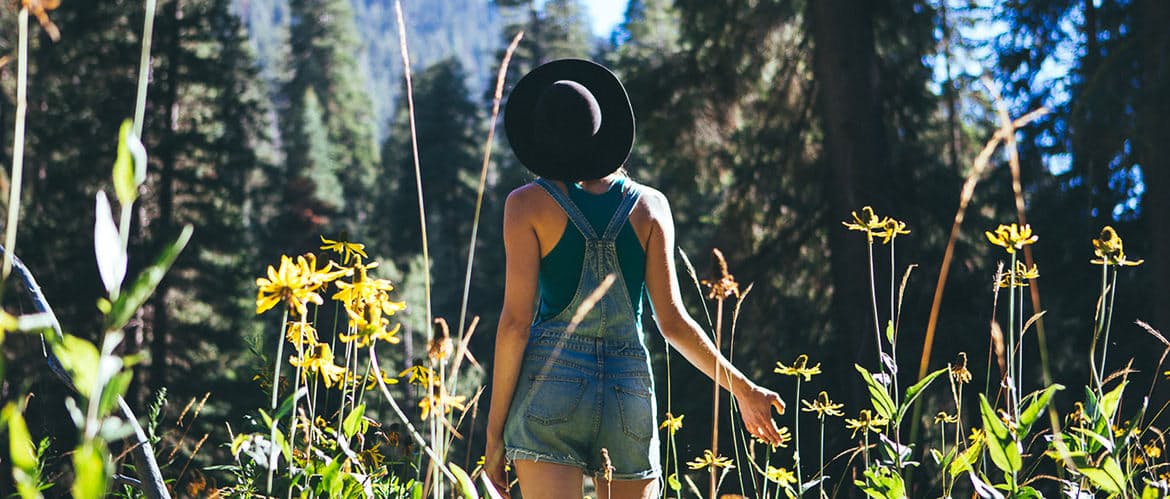 Hero huckberry sequoia natioanl park sell header.jpg?ixlib=rails 2.1