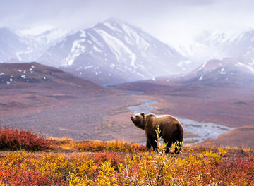 Tile huckberry explorer s grant denali burkard header