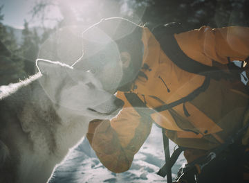 Tile huckberry loki the wolfdog boyte creative header